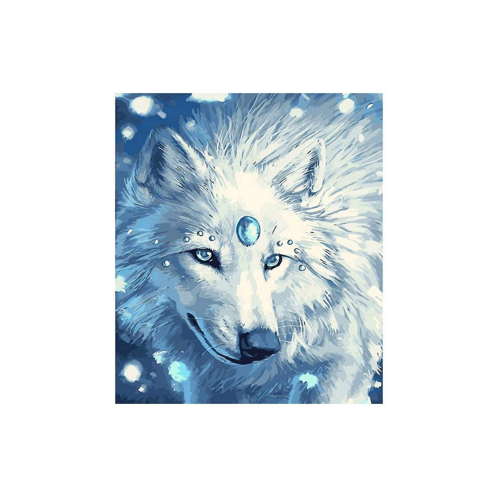 Malování podle čísel na plátno 40x50cm - Bílý vlk