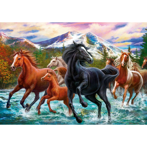 Malování podle čísel na plátno 40x50cm - Koně z hor