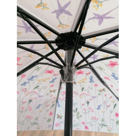 Albi Deštník - Luční květy