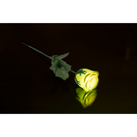 LED svítící plastová růže měnící barvu ~ 4