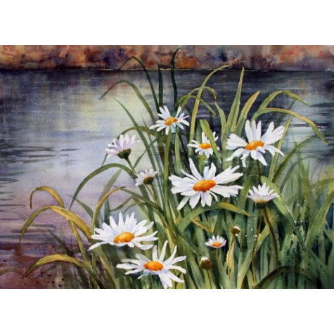 Diamantový obrázek malování 30x40cm - Kopretiny ~ 2