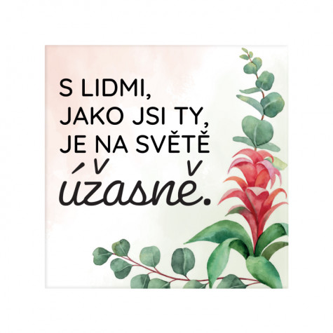 Albi Magnetka - Ty ~ 1