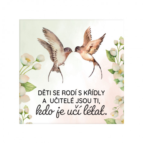 Albi Magnetka - Učitelé ~ 1