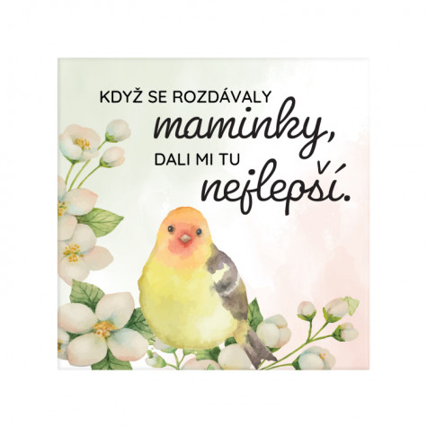 Albi Magnetka - Maminka ~ 1