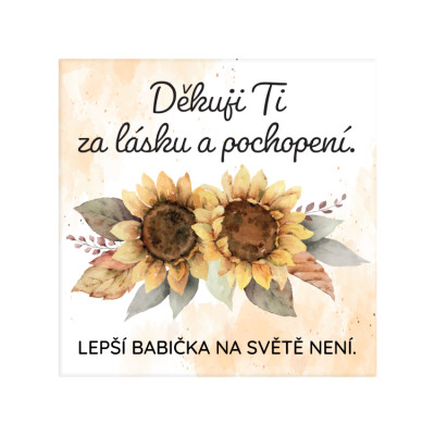 Albi Magnetka - Pochopení babička