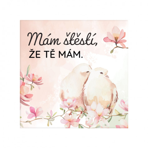 Albi Magnetka - Láska ~ 1