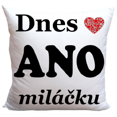 Polštář oboustranný 40 x 40 cm - Dnes Ano/Ne ~ 2