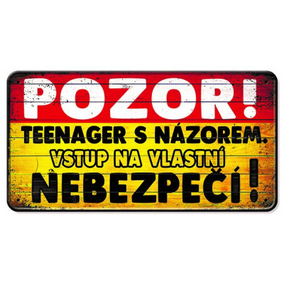 Nekupto Plechová cedulka - Teenager s názorem