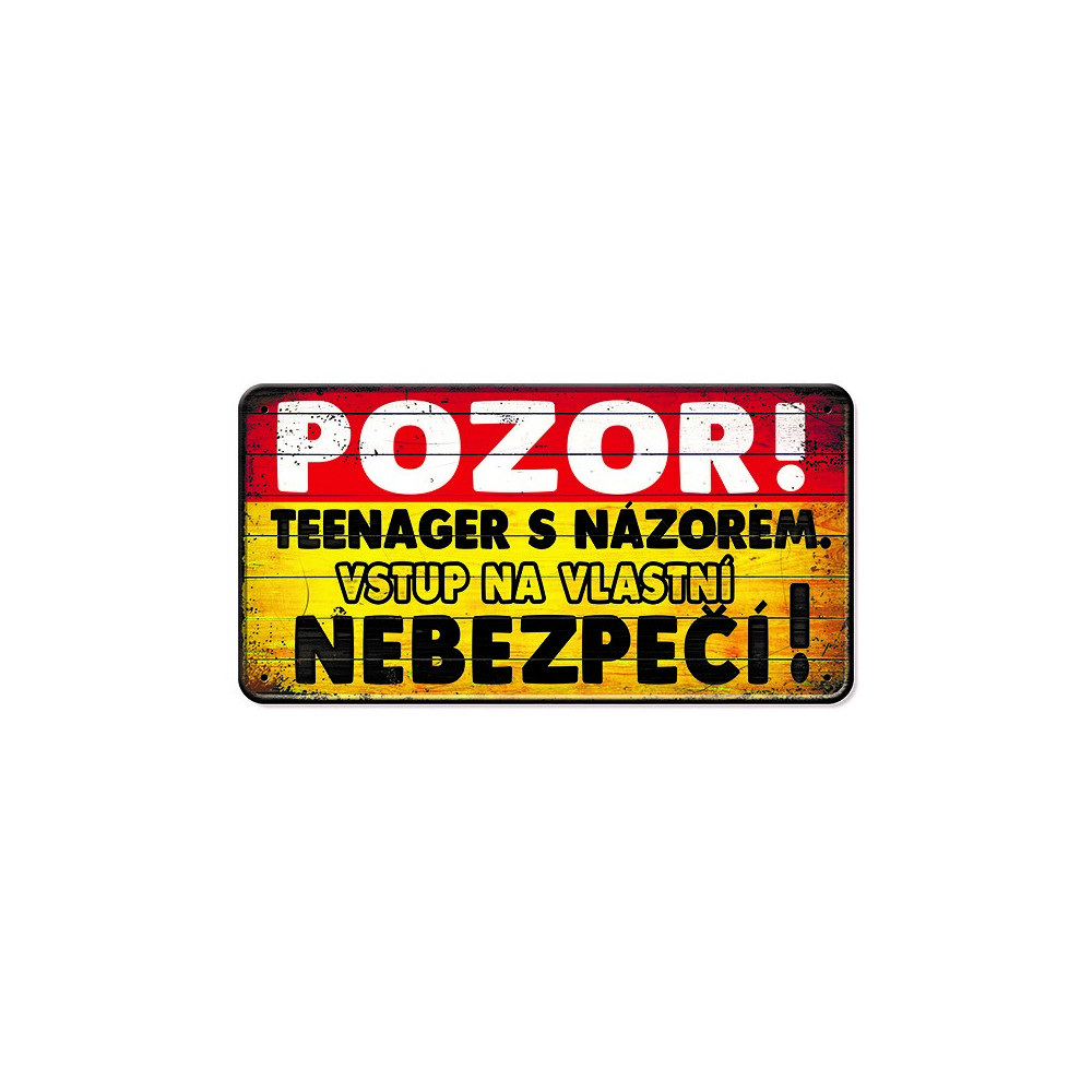 Nekupto Plechová cedulka - Teenager s názorem