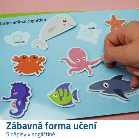 Interaktivní vzdělávací kniha pro nejmenší ~ 6