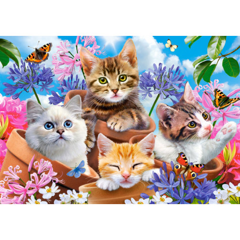 Castorland Puzzle Kočky mezi kvítí 500 dílků