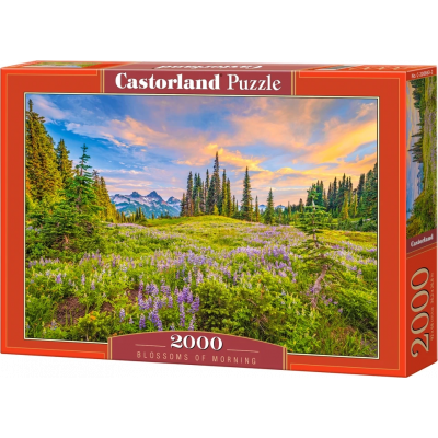 CASTORLAND Puzzle Ranní květy 2000 dílků