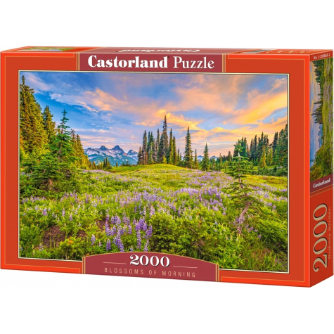 CASTORLAND Puzzle Ranní květy 2000 dílků ~ 1