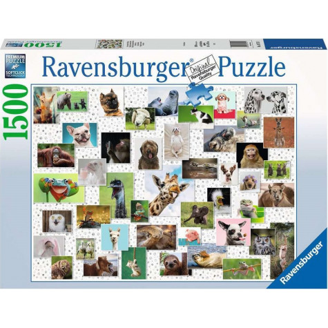 RAVENSBURGER Puzzle Koláž se zvířecími ksichtíky 1500 dílků ~ 1