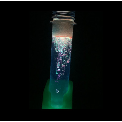 Albi Science - Neonové experimenty