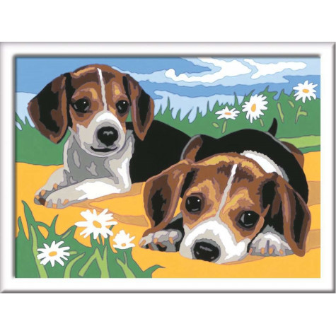 RAVENSBURGER CreArt Malování podle čísel: Štěňata Jack Russella