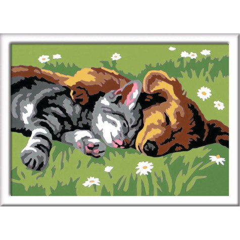 RAVENSBURGER CreArt Malování podle čísel: Spící pes a kočka ~ 2