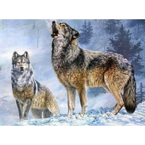Norimpex Diamantový obrázek malování 30x40cm - Vlk s vlčicí