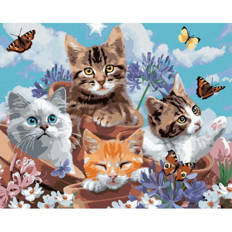 Norimpex Diamantový obrázek malování 30x40cm - Koťata a motýli