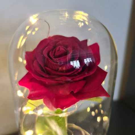 Malatec 21619 Růže ve skle svítící
