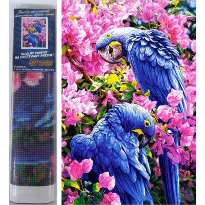 Norimpex Diamantový obrázek malování 30x40cm - Modří papoušci