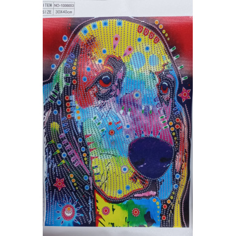 Norimpex Diamantové malování 7D obrázek 30x40cm - Psí pohled ~ 2