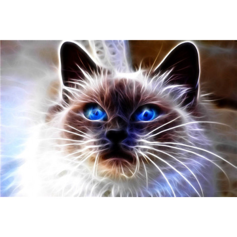 Norimpex Diamantový obrázek malování 30x40cm - Kočičí magie