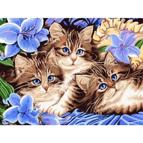 Norimpex Diamantový obrázek malování 30x40cm - Tři koťata v květinách