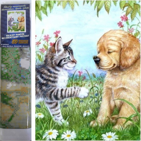 Norimpex Diamantový obrázek malování 30x40cm - Štěně a kotě ~ 1