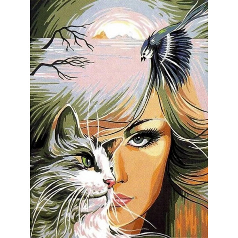 Norimpex Diamantový obrázek malování 30x40cm - Dívka s kočkou