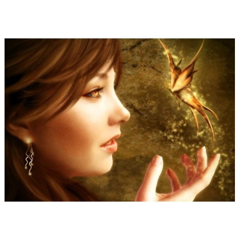 Norimpex Diamantový obrázek malování 30x40cm - Motýlí princezna
