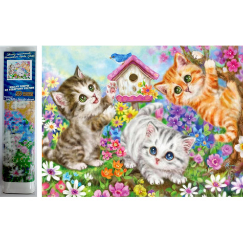 Norimpex Diamantový obrázek malování 30x40cm - Kočičí parta ~ 1