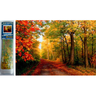 Norimpex Diamantový obrázek malování 30x40cm - Podzim v lese