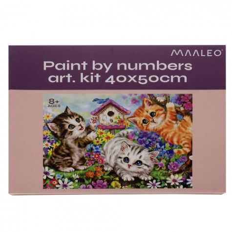 Maaleo 22781 Malování podle čísel 40x50cm - Kočičky
