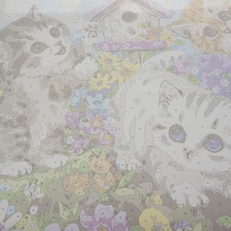 Maaleo 22781 Malování podle čísel 40x50cm - Kočičky