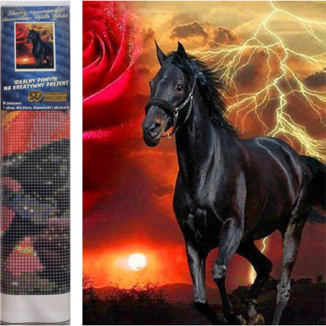 Norimpex Diamantový obrázek malování 30x40cm - Černý kůň ~ 1