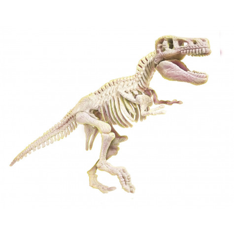 CLEMENTONI Science&Play ArcheoFun: Tyrannosaurus Rex (svítící ve tmě) ~ 3