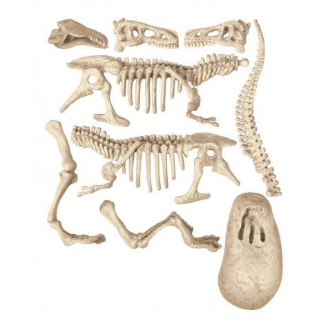 CLEMENTONI Science&Play ArcheoFun: Tyrannosaurus Rex (svítící ve tmě) ~ 4