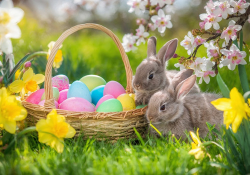 Velikonoční tradice: proč se plete pomlázka a barví vajíčka