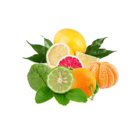 Citrusové