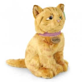 Kočky plyšové